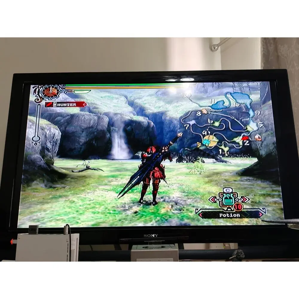 Nintendo monster hunter